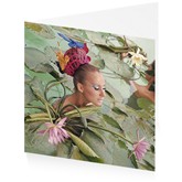 Tahiti Lillies