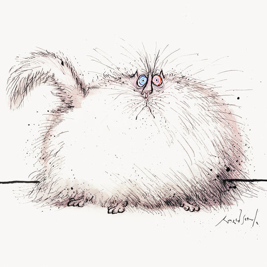 Remarkably hairy cat faced with the problem of dandruff