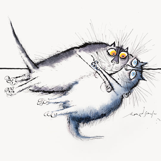 Two cats discover that love is a many-splendoured thing