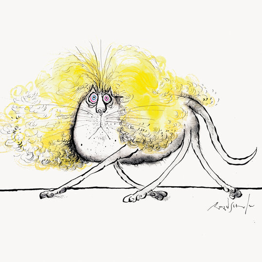 Balding cat walking out in an unsuitable wig