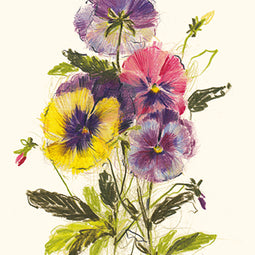 Pansies