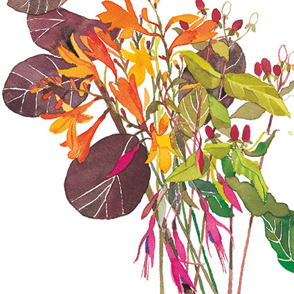 Montbretia and fuchsias