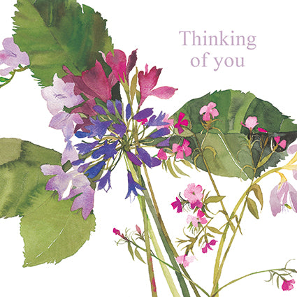 Agapanthus and Freesia