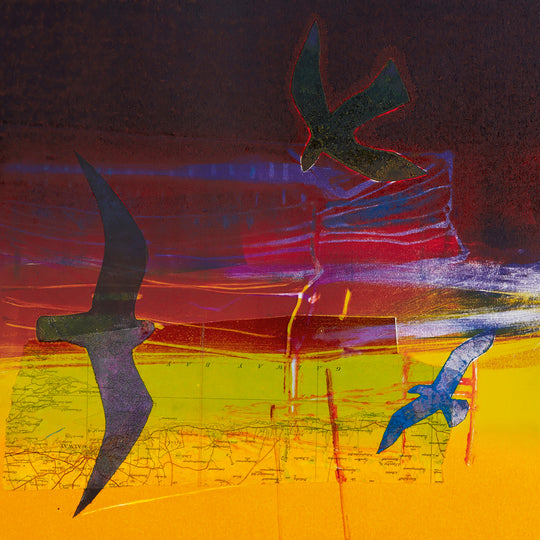 Dame Barbara Rae CBE RA