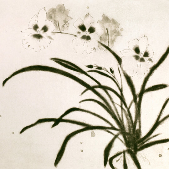 Dame Elizabeth Blackadder RA