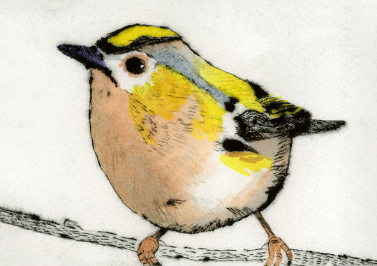 Richard Spare, Regal Goldcrest