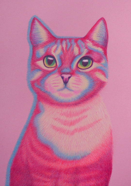 Suzanne Knowles, Pink and Blue