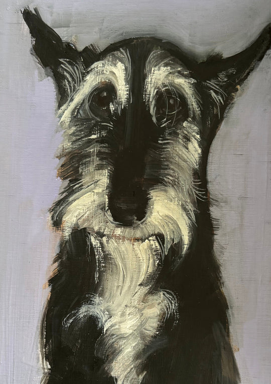 Sally Muir, Dog