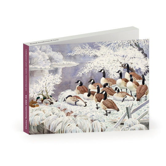 Charles Tunnicliffe OBE RA, Hoar Frost on Mere SIde