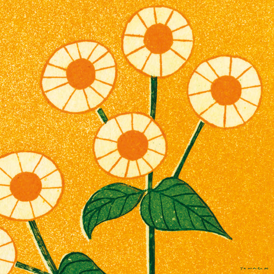 Philadelphia Fleabane