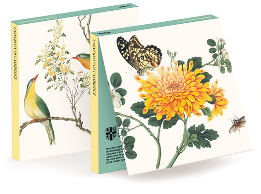 Youqua, Flowers, butterflies and birds