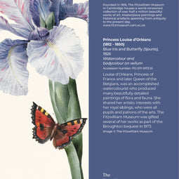 Blue Iris and Butterfly