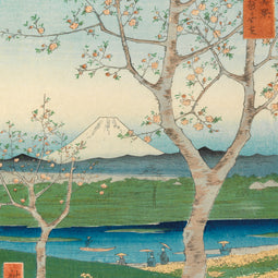 Fuji from Koshigaya, Musashi