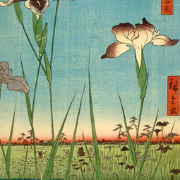 Iris Garden at Horikiri