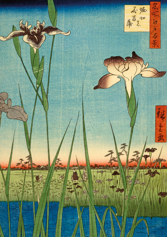 Iris Garden at Horikiri