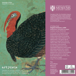 Mughal Miniature, Turkey