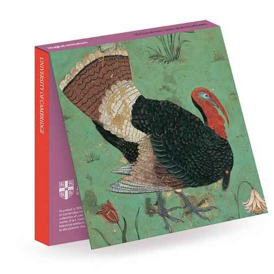 Mughal Miniature, Turkey