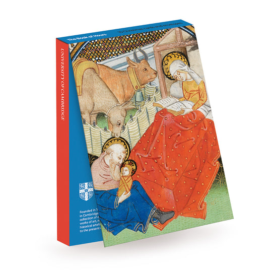 Book of Hours, The Nativity and Mary Reading