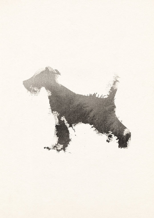 Schnauzer
