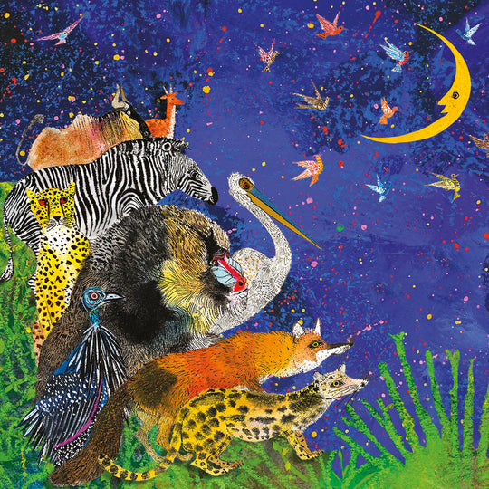 Shooting for the moon