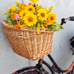 Vintage bike with flowers