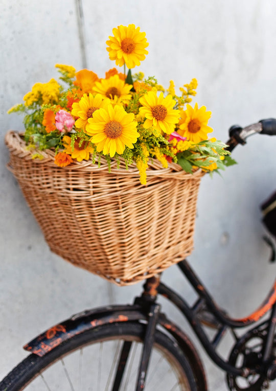 Vintage bike with flowers