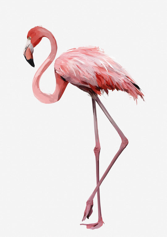 Be a Flamingo