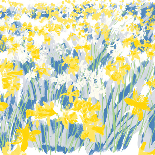 Daffodil Field