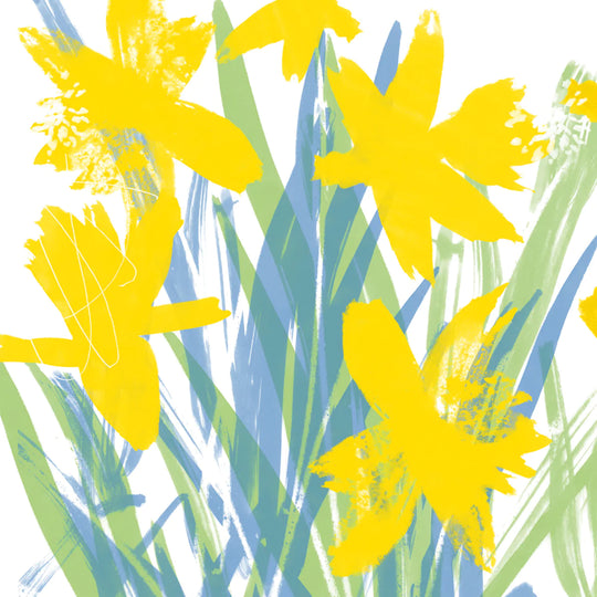 Spring Daffodils
