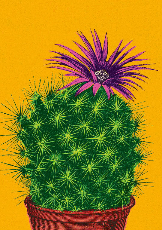 Flowering Cactus