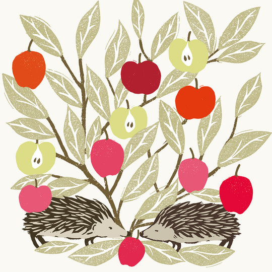 Hedgehog Apple