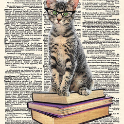 Early Reader Kitten