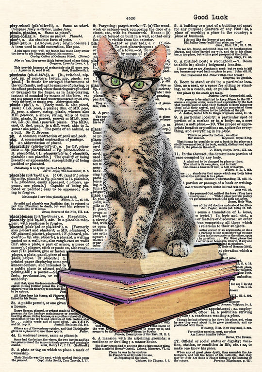 Early Reader Kitten