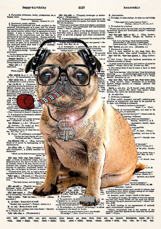 Pug DMC