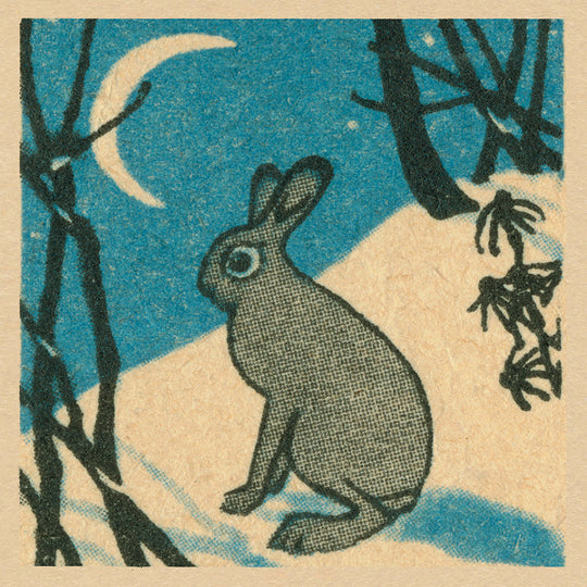 Hare and the Moon
