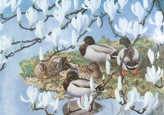 Charles Tunnicliffe OBE RA