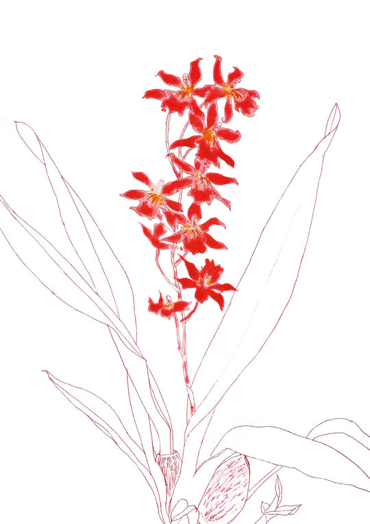 Dame Elizabeth Blackadder RA