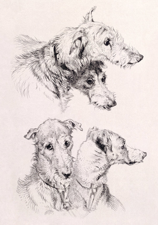 Sir Edwin Landseer RA