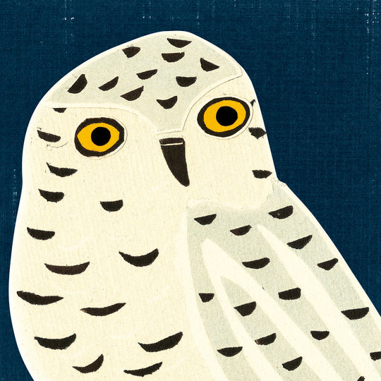 Harriet, Who Lives in North America