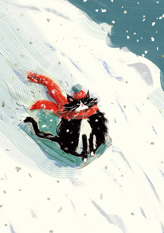 Sledding Cat