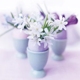 Flowers in eggcups