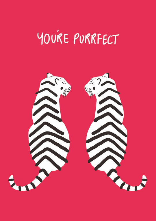 You're Purrfect