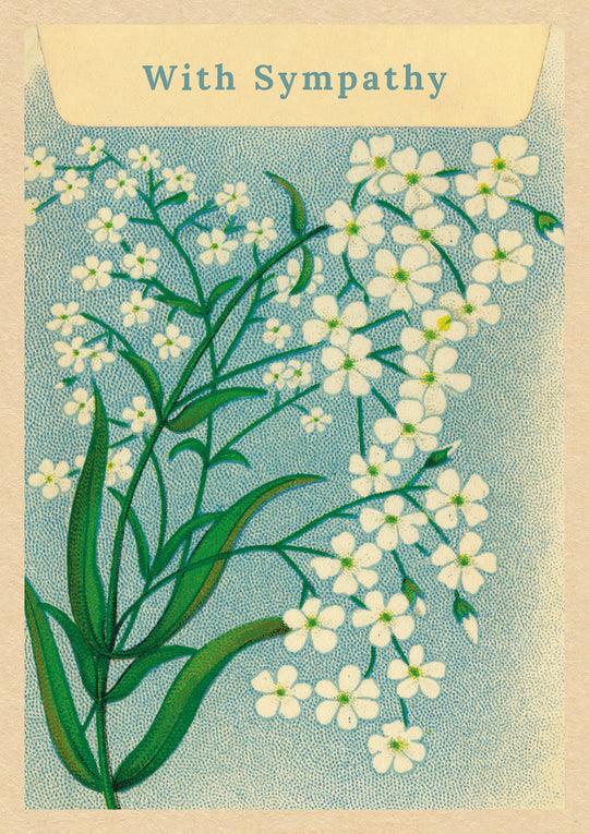 Gypsophilia
