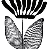 Réka Király - Herbarium