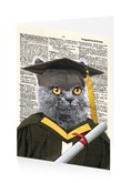 Graduation Cat