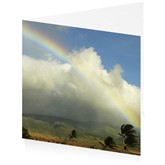 Maui rainbow