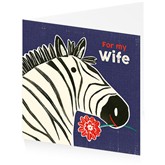 Barry the Zebra Loves To Tango